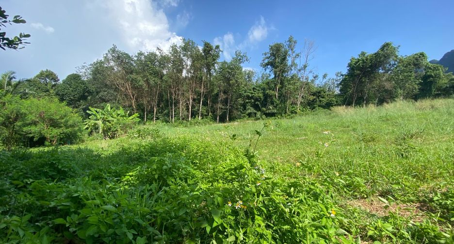 ขาย ที่ดิน ใน เมืองกระบี่, กระบี่