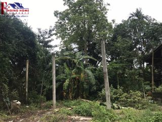 For sale land in Phrasaeng, Surat Thani