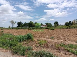 ขาย ที่ดิน ใน กำแพงแสน, นครปฐม