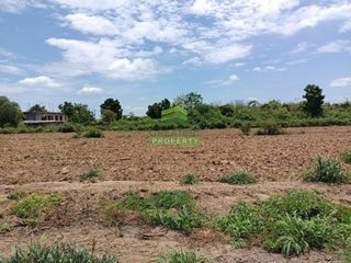 ขาย ที่ดิน ใน กำแพงแสน, นครปฐม