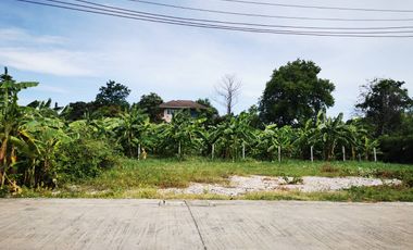 À vendre terrain à Prawet, Bangkok