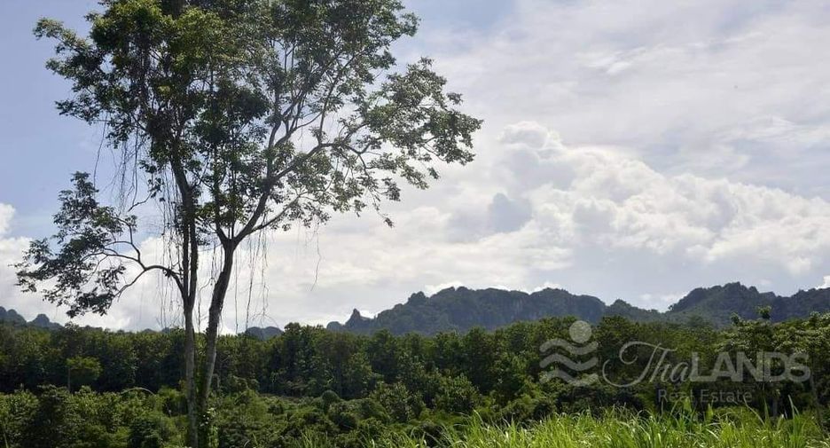 Grundstück zum Kauf in Thong Pha Phum, Kanchanaburi