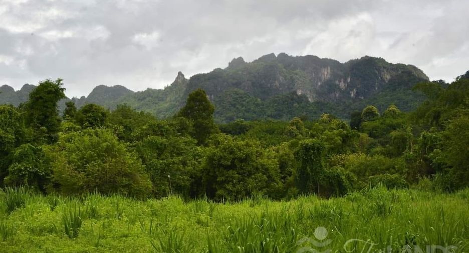 Grundstück zum Kauf in Thong Pha Phum, Kanchanaburi