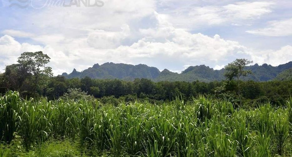 Grundstück zum Kauf in Thong Pha Phum, Kanchanaburi