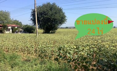 For sale land in Kaeng Khoi, Saraburi