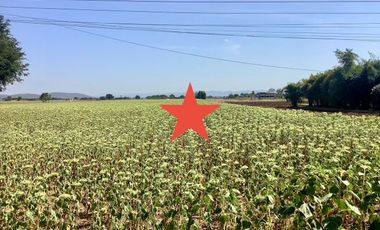 For sale land in Kaeng Khoi, Saraburi