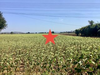 For sale land in Kaeng Khoi, Saraburi