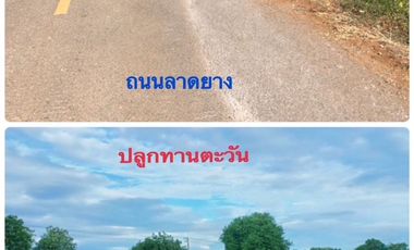 For sale land in Kaeng Khoi, Saraburi