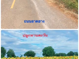 For sale land in Kaeng Khoi, Saraburi