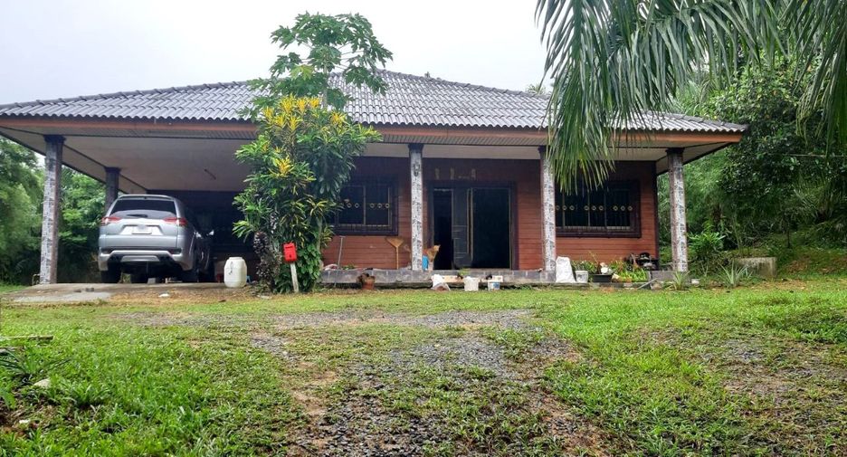 For sale land in Mueang Phangnga, Phang Nga