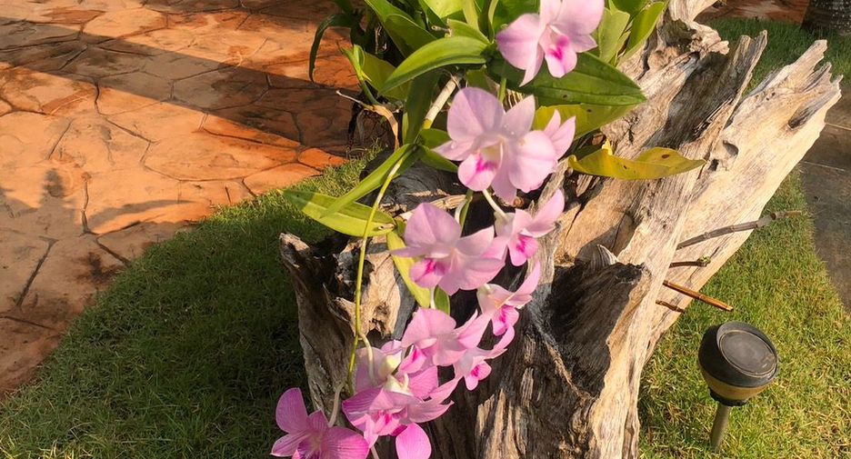 Villa zur Miete mit 2 Zimmer in San Kamphaeng, Chiang Mai
