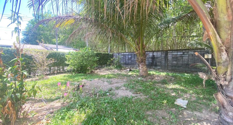 For sale land in Thalang, Phuket