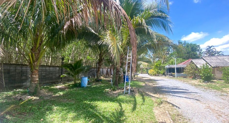 For sale land in Thalang, Phuket