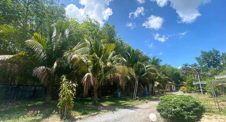 For sale land in Thalang, Phuket