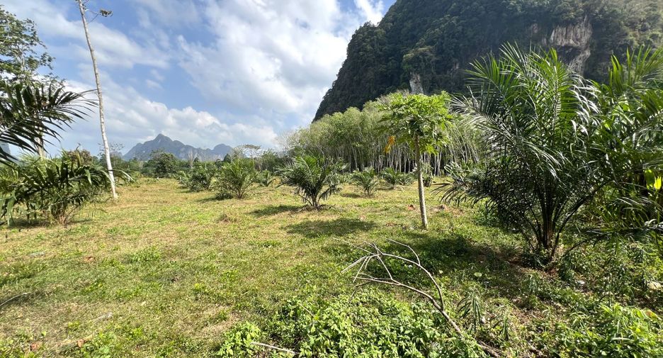 Grundstück zum Kauf in Mueang Krabi, Krabi