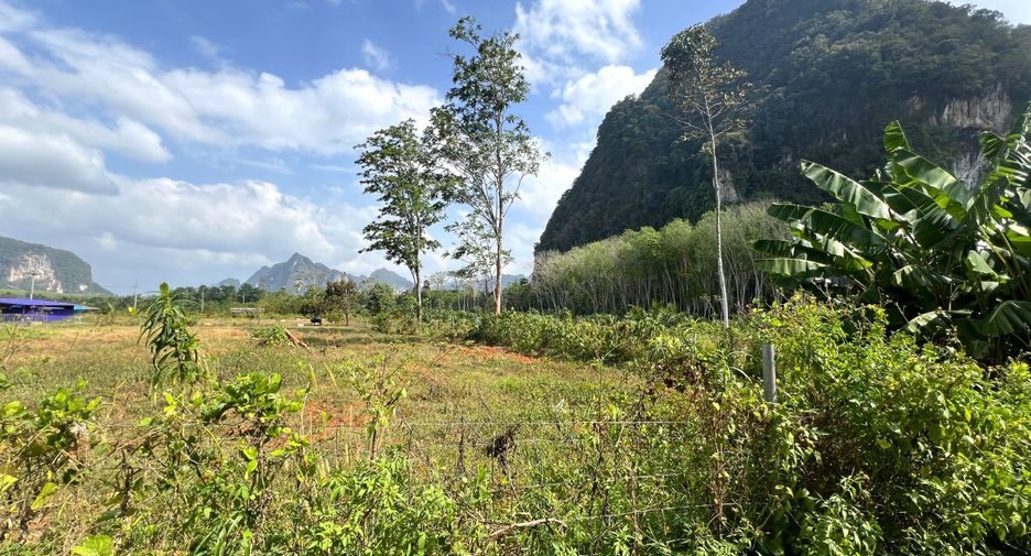 Grundstück zum Kauf in Mueang Krabi, Krabi