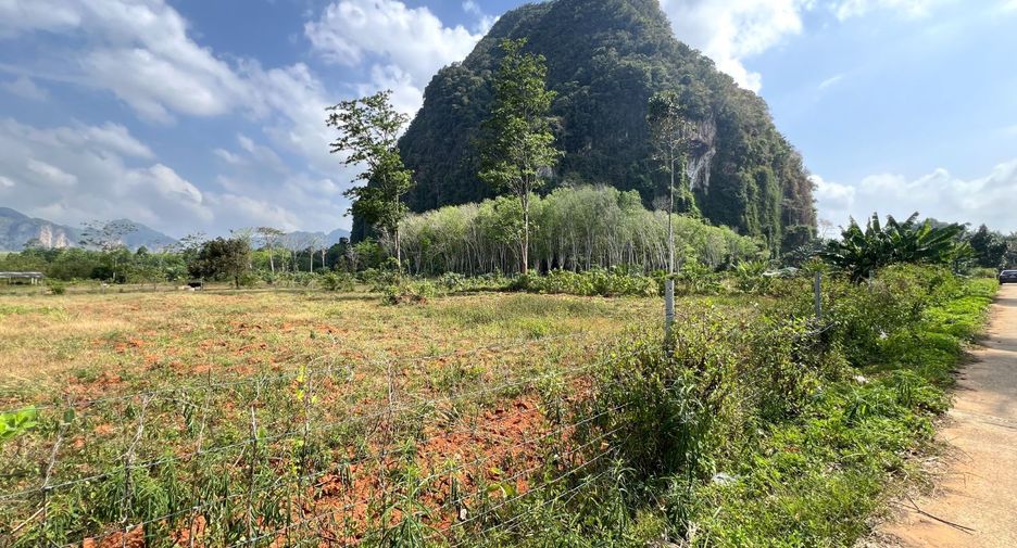 Grundstück zum Kauf in Mueang Krabi, Krabi
