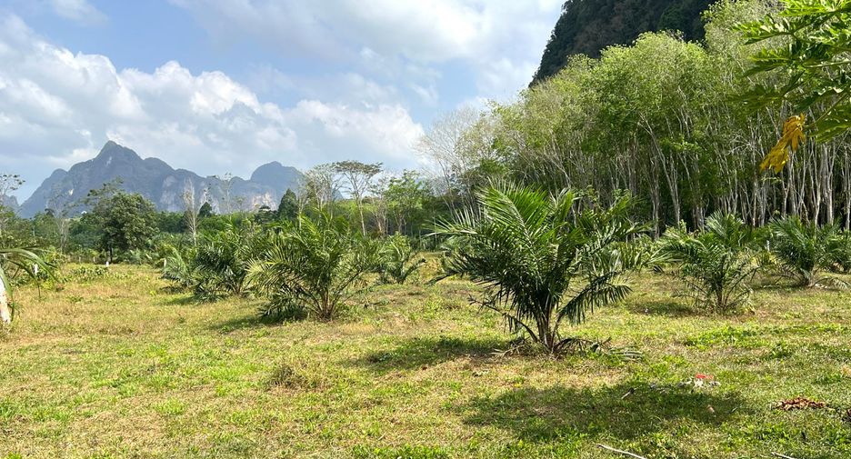 Grundstück zum Kauf in Mueang Krabi, Krabi