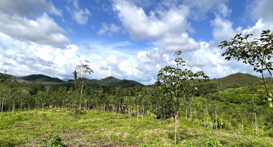 For sale land in Takua Thung, Phang Nga
