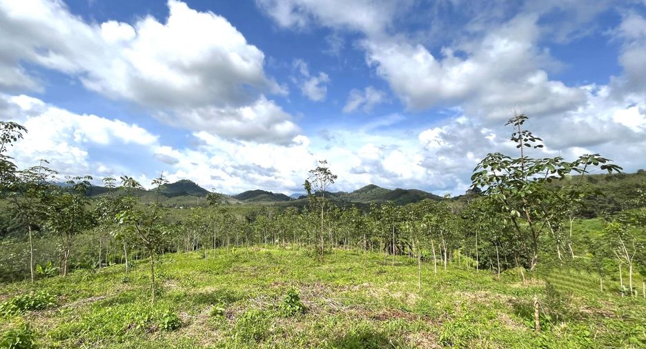 For sale land in Takua Thung, Phang Nga