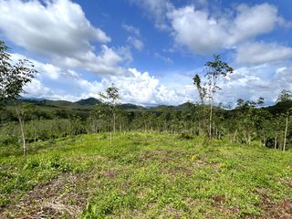 For sale land in Takua Thung, Phang Nga