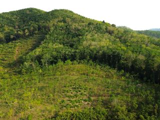 For sale land in Takua Thung, Phang Nga