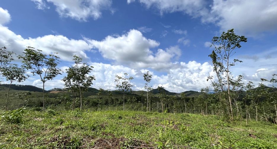 For sale land in Takua Thung, Phang Nga