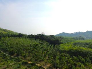 For sale land in Takua Thung, Phang Nga
