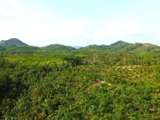 For sale land in Takua Thung, Phang Nga