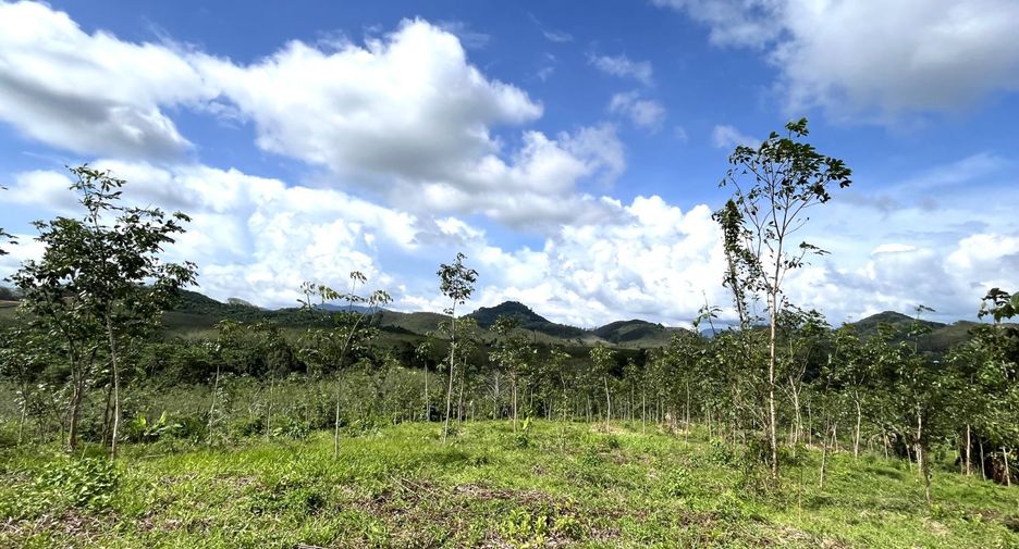 For sale land in Takua Thung, Phang Nga