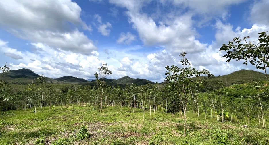 For sale land in Takua Thung, Phang Nga