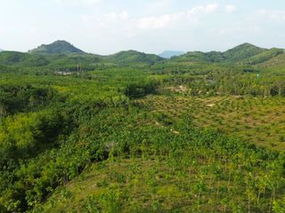 For sale land in Takua Thung, Phang Nga
