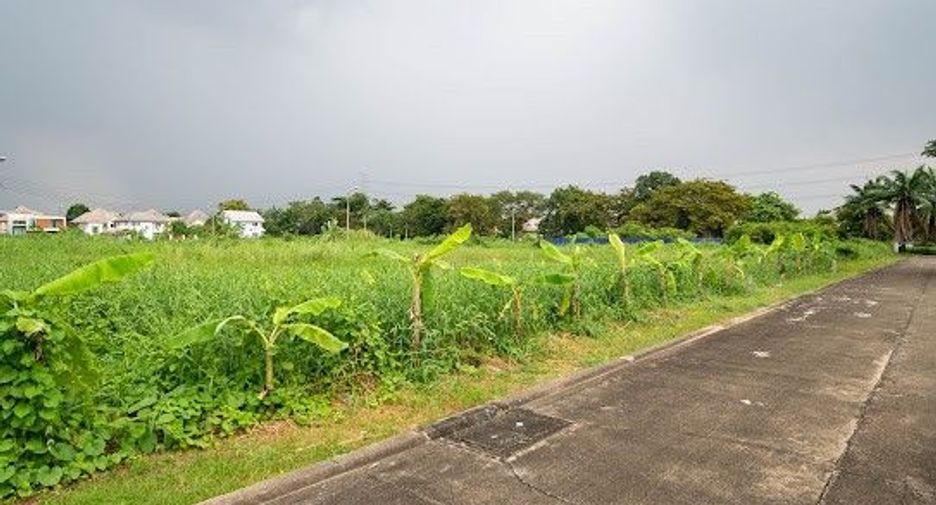 For sale land in Thawi Watthana, Bangkok