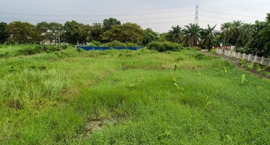 For sale land in Thawi Watthana, Bangkok