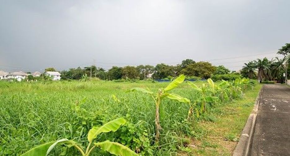 For sale land in Thawi Watthana, Bangkok
