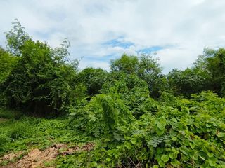 Grundstück zum Kauf in Bang Kruai, Nonthaburi