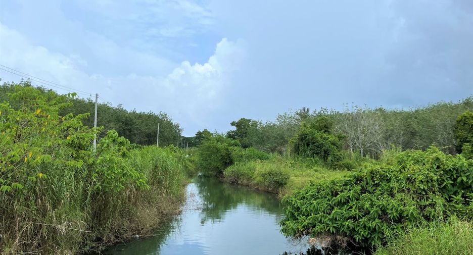 For sale land in Thalang, Phuket