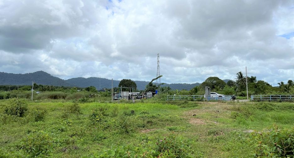 For sale land in Thalang, Phuket