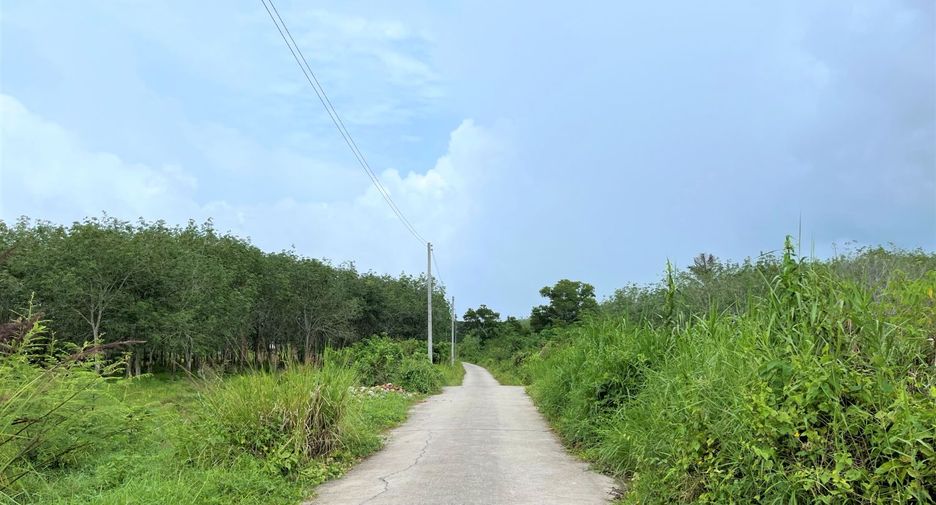 For sale land in Thalang, Phuket