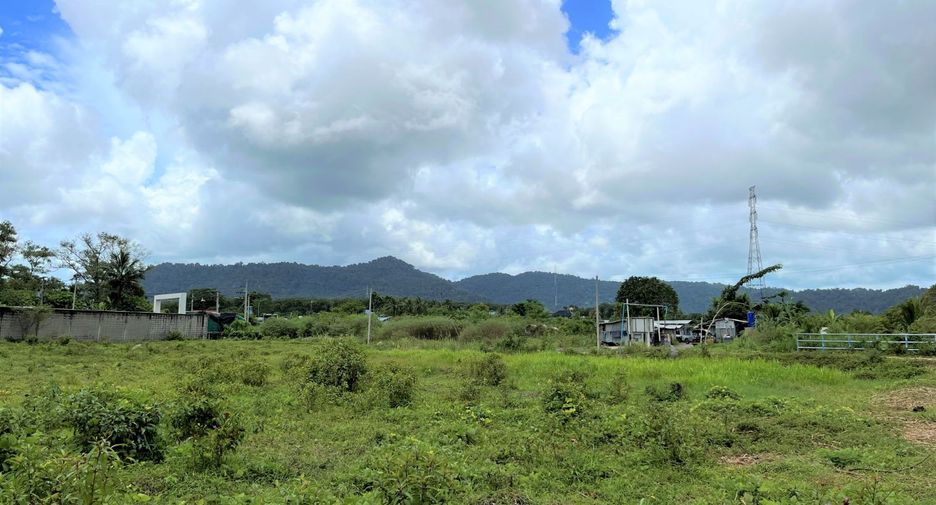 For sale land in Thalang, Phuket