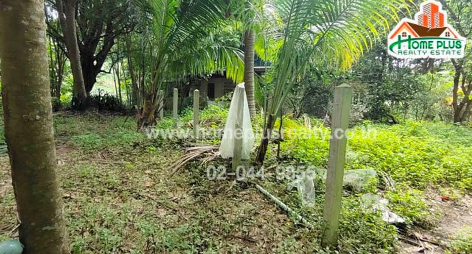 For sale land in Ban Rai, Uthai Thani