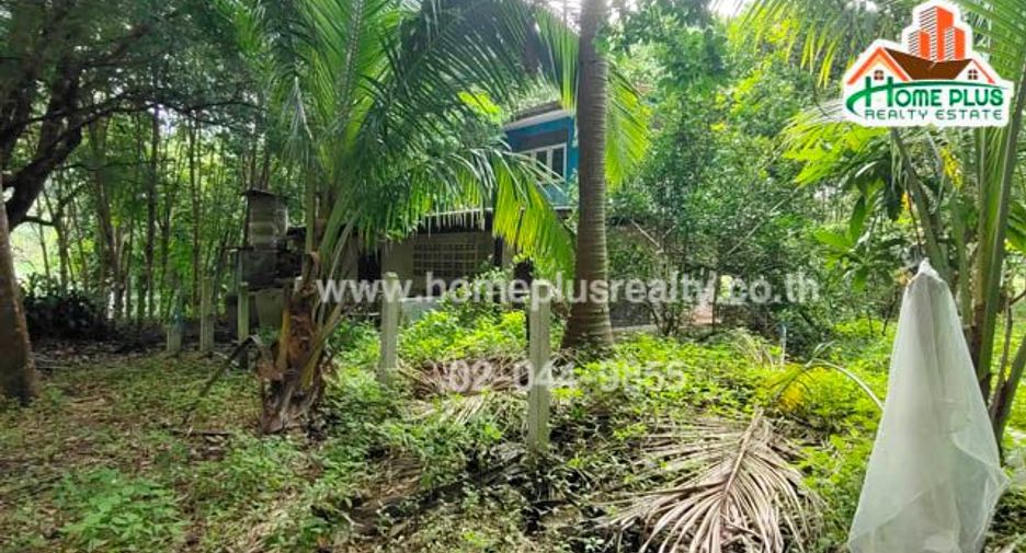 For sale land in Ban Rai, Uthai Thani