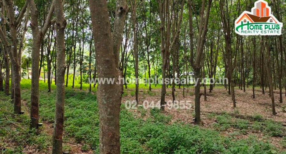For sale land in Ban Rai, Uthai Thani