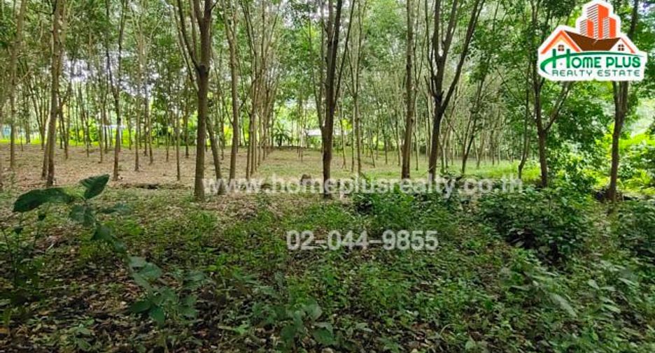 For sale land in Ban Rai, Uthai Thani