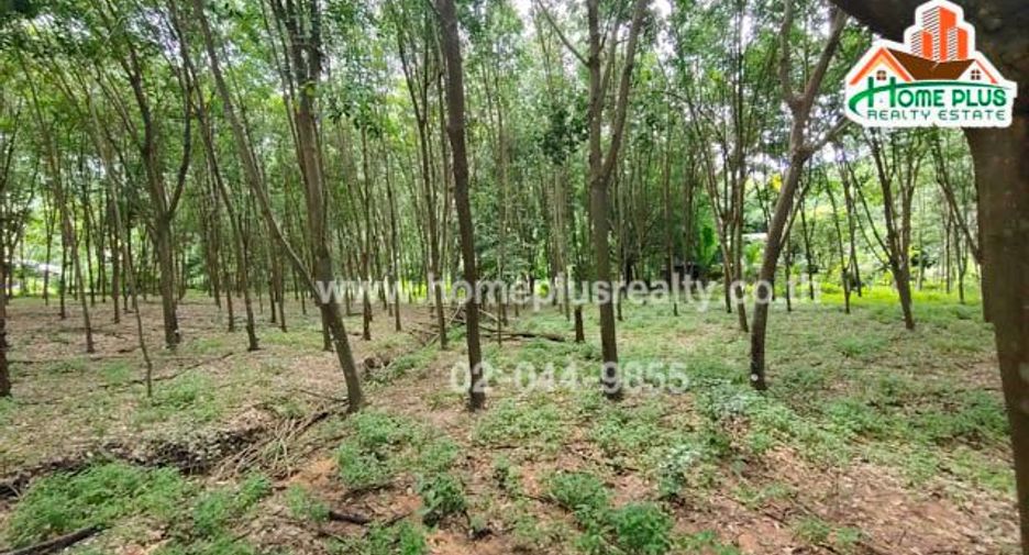 For sale land in Ban Rai, Uthai Thani