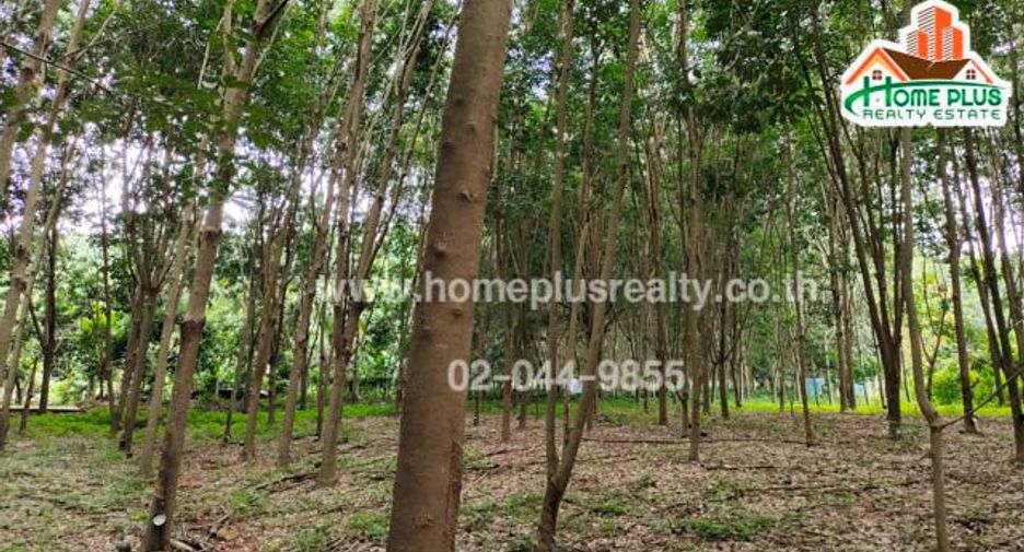 For sale land in Ban Rai, Uthai Thani