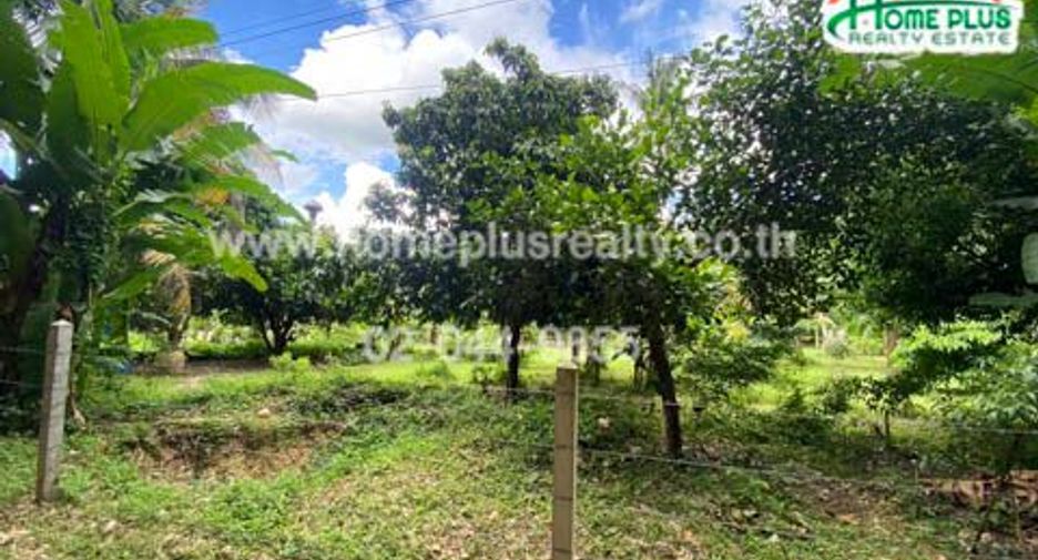 For sale land in Ban Rai, Uthai Thani