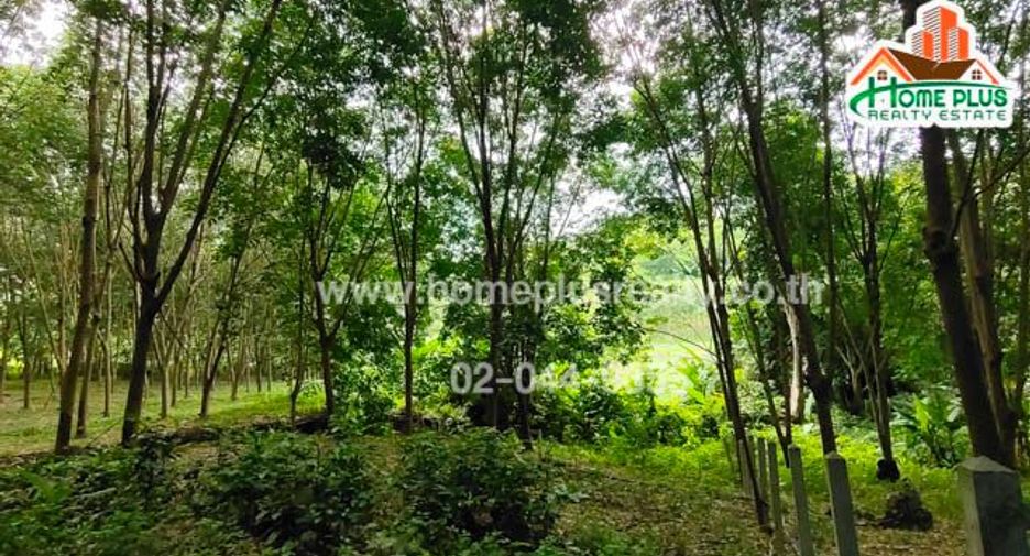 For sale land in Ban Rai, Uthai Thani