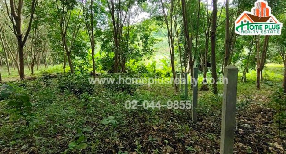 For sale land in Ban Rai, Uthai Thani