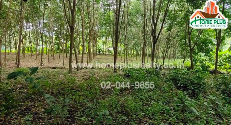 For sale land in Ban Rai, Uthai Thani